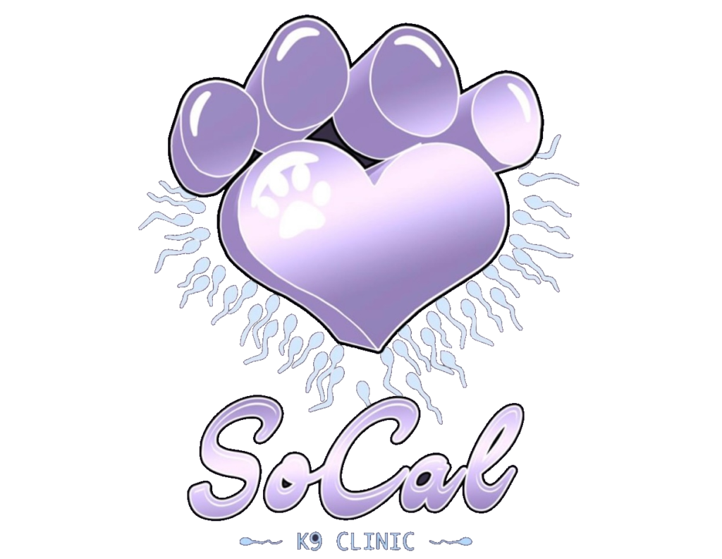 SoCal K9 Clinic - Animal Hospital Riverside CA