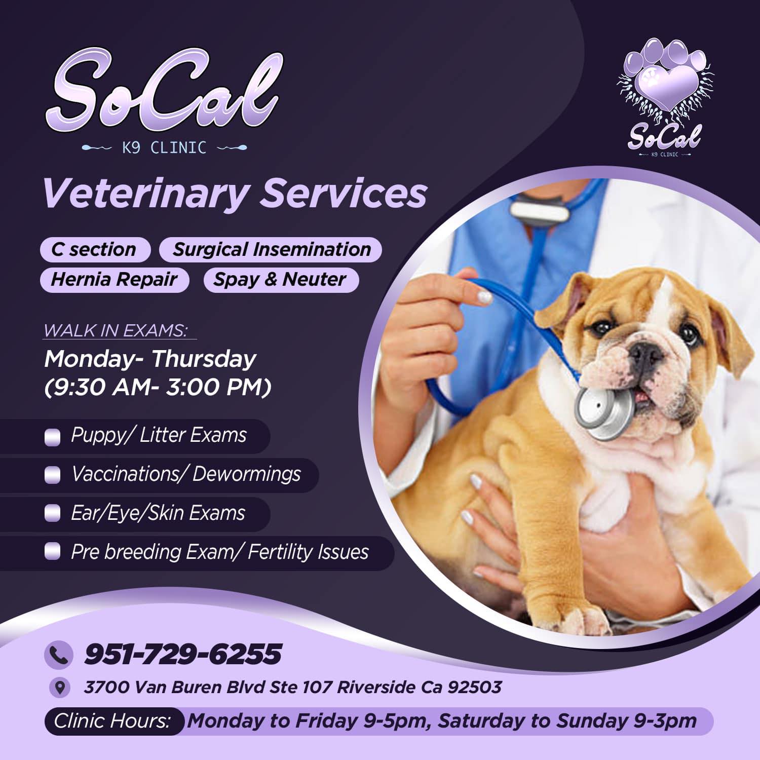 SoCal K9 Clinic - Veterinary Services Riverside CA
