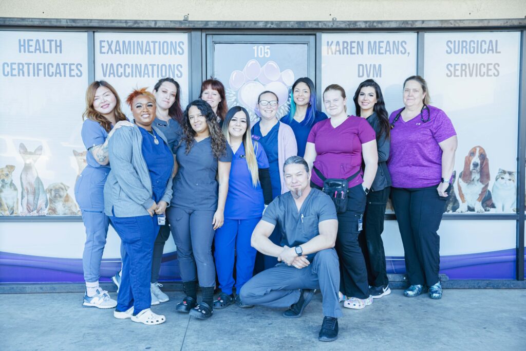 Animal Clinic Riverside CA